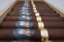 Load image into Gallery viewer, Cane Corso 1