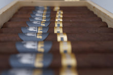 Load image into Gallery viewer, Campeiro