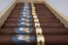 Load image into Gallery viewer, American Bully