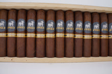 Load image into Gallery viewer, American Bully